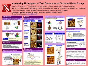 Assembly Principles in Two Dimensional Ordered Virus Arrays