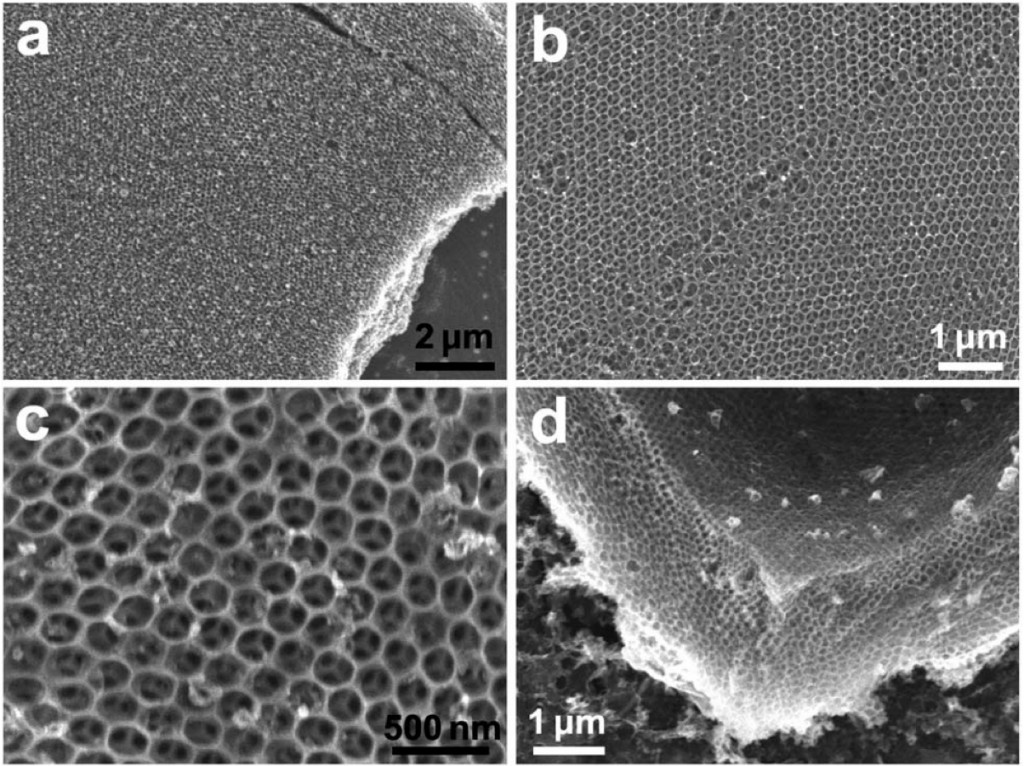 GrapheneInverseOpal