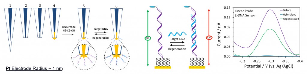 Nanoelectrodes