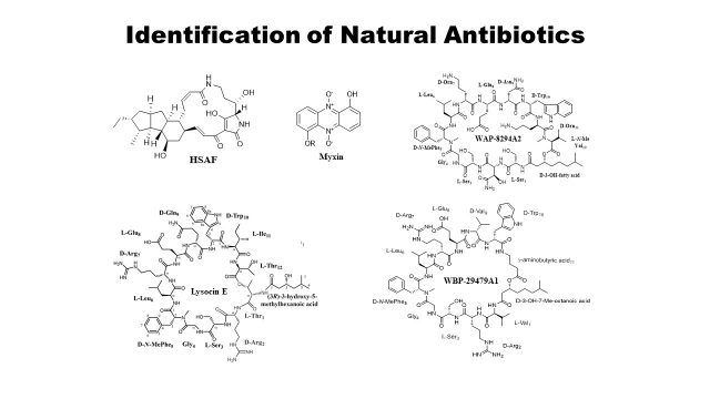 Identification of Natural Antibiotics