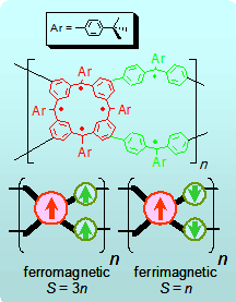 Magnetic Polymer Network