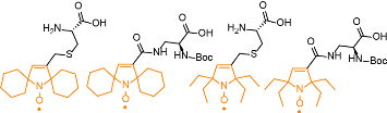 amino acid spin labels