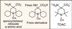 spirocyclohexyl nitroxide