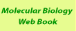 Molecular Biology Web Book